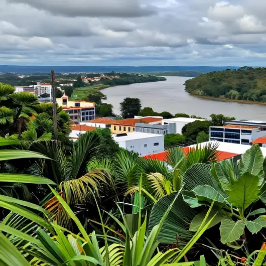 7 serviços essenciais ao turista em Porto Velho