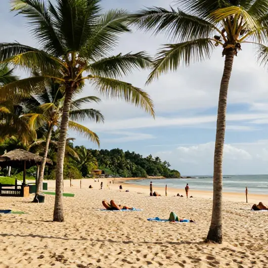 Descubra a Praia de Fortaleza do Abunã em Porto Velho - RO