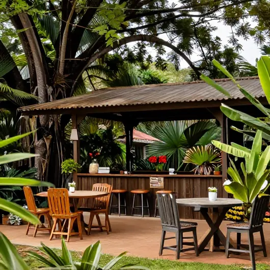 Descubra o Bar das Árvores Descubra o Bar das Árvores