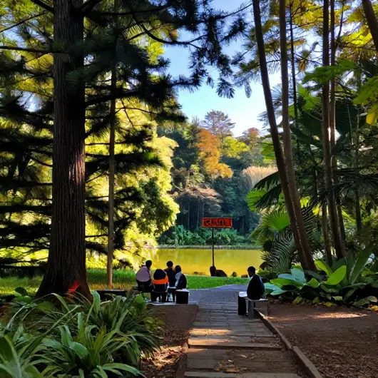 Descubra o Parque Natural Municipal de Porto Velho