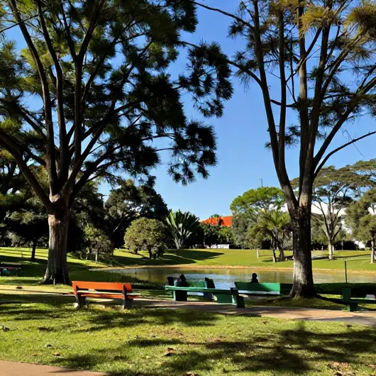 Descubra o Parque Primo Raphaelli