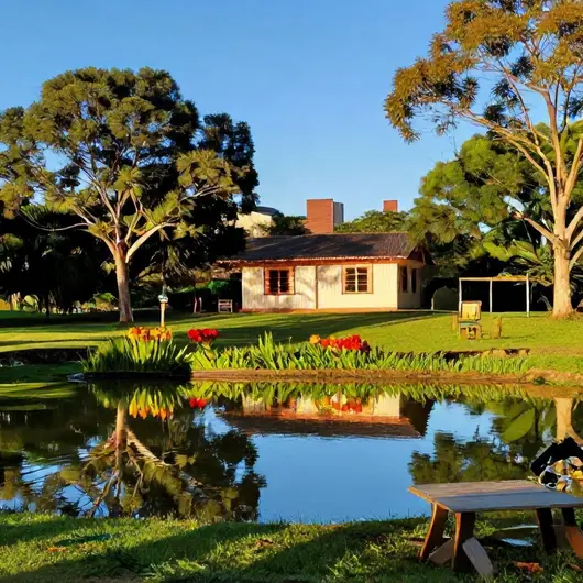 Explorando Sítios e Chácaras em Porto Velho: Atrações do Turismo Rural