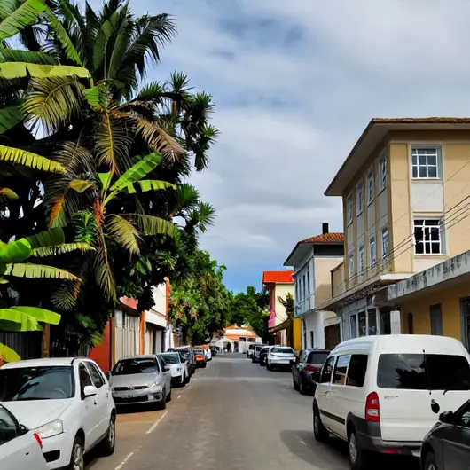 Guia Completo de Translado em Porto Velho - RO