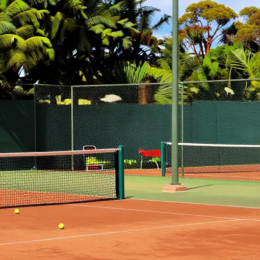 Tenis Clube PVH: O Local Perfeito para Amantes do Tênis