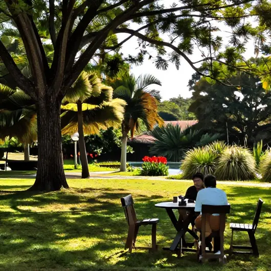 Descubra o Espaço Primavera