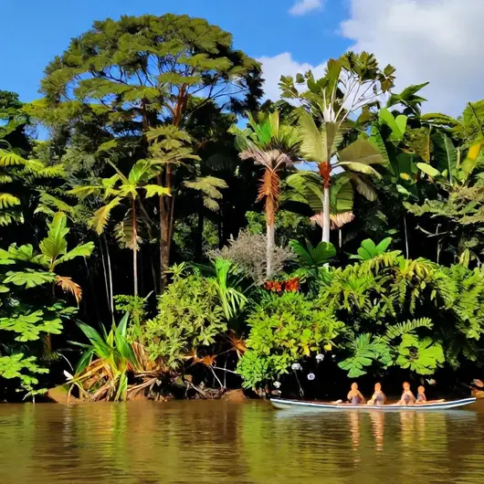 Descubra o Rio Madeira Manicoré