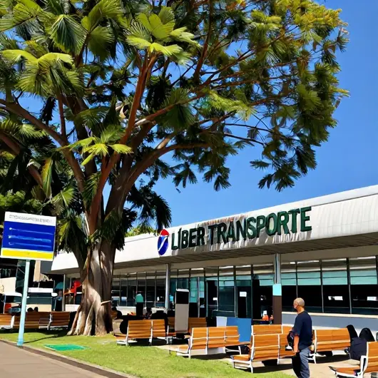 Líder Transporte Porto Velho: Conforto e Praticidade em Suas Viagens